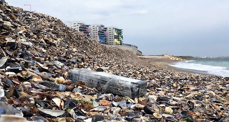 Roumanie : 1,7 tonne de cocaïne s&rsquo;échoue sur les côtes de la mer Noire