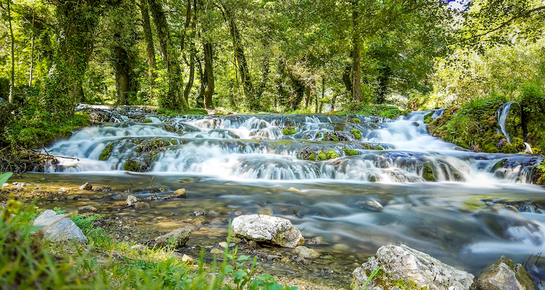 Bosnie-Herzégovine : la forêt de Janj bientôt inscrite au patrimoine de l’Unesco ?