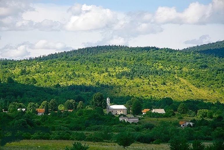 Croatie : en Krajina, le pillage généralisé des forêts