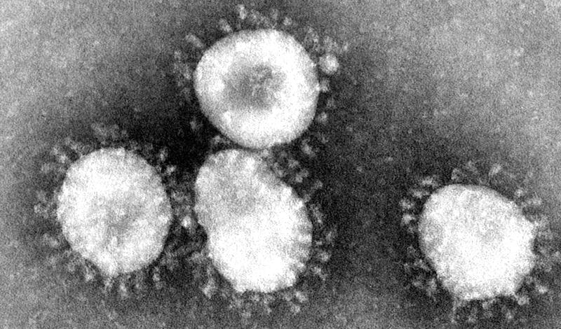 Dans les Balkans, la grippe fait plus peur que le coronavirus