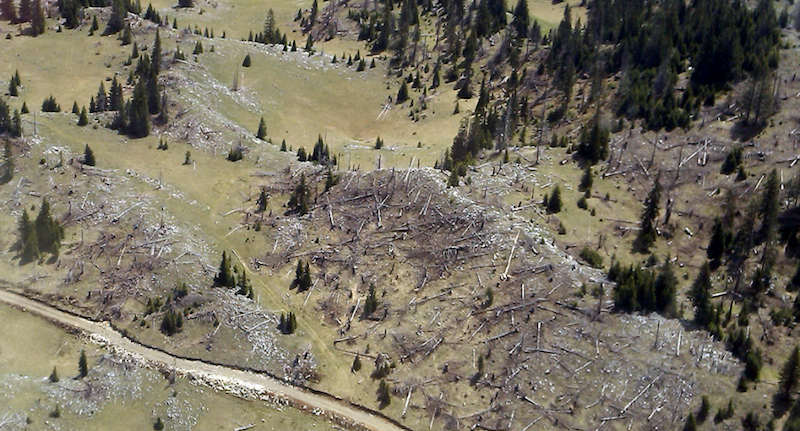 Nord du Kosovo : l’adieu aux arbres