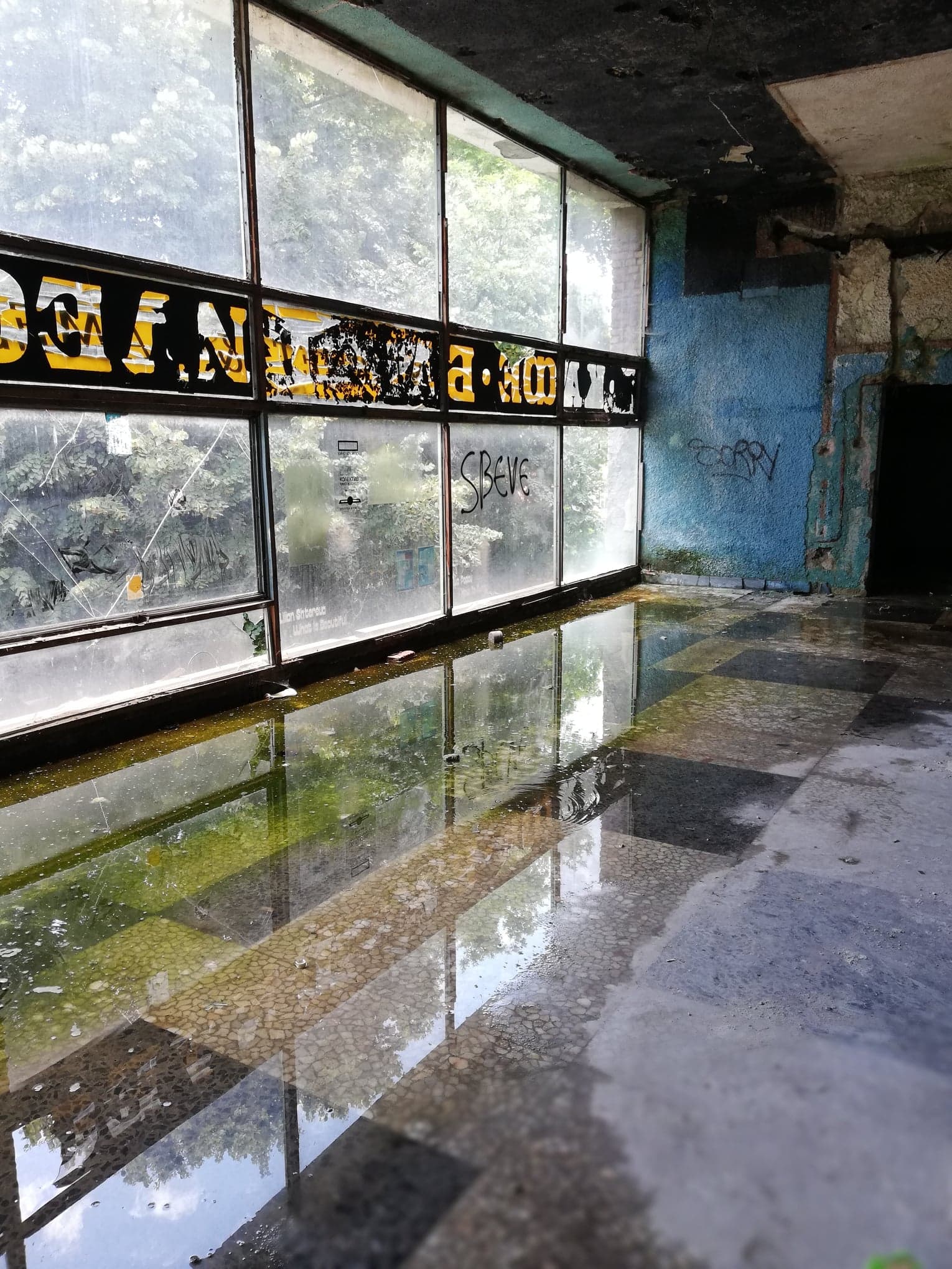 Dans le cinéma, reflets des inondations