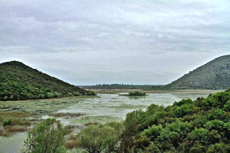 Monténégro : sur le lac de Skadar, le règne des braconniers