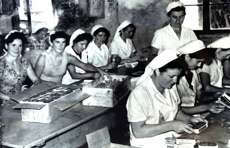 Croatie : mémoires ouvrières des femmes des conserveries de Cres et de Mali Lošinj