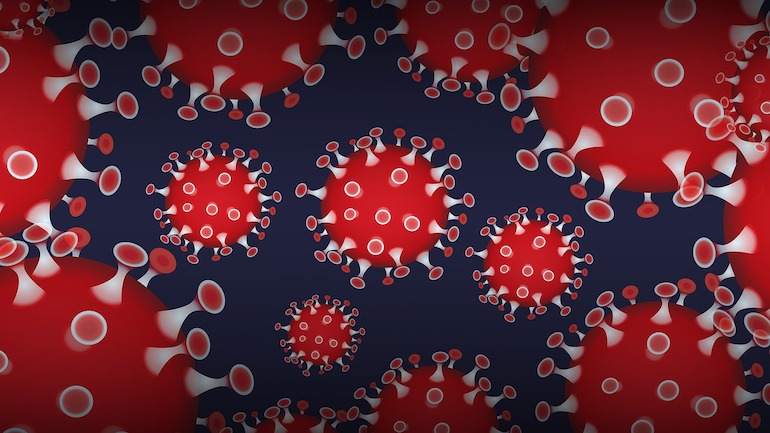 Coronavirus en Serbie : des chiffres réels bien plus élevés que le bilan officiel