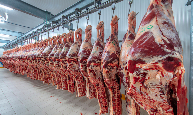 Entre Allemagne, Roumanie et Bulgarie : exploitation, abattoirs et Covid-19