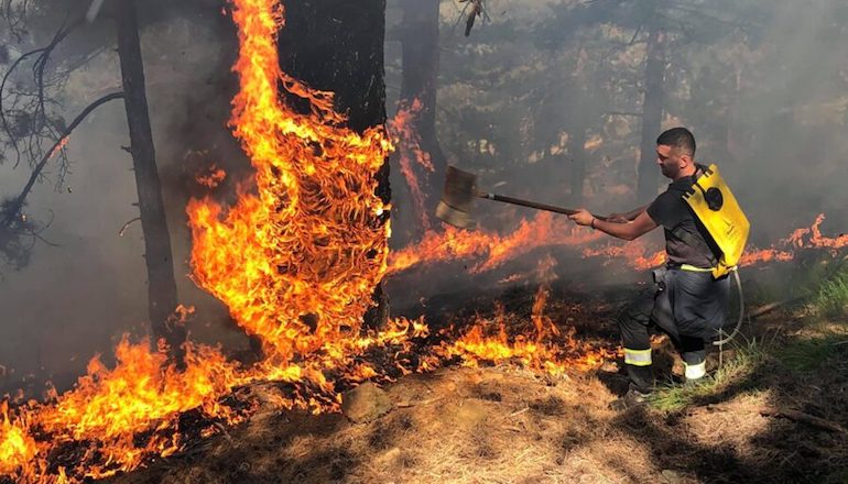 Albanie : les forêts brûlent-elles pour faire place à la construction de complexes touristiques ?
