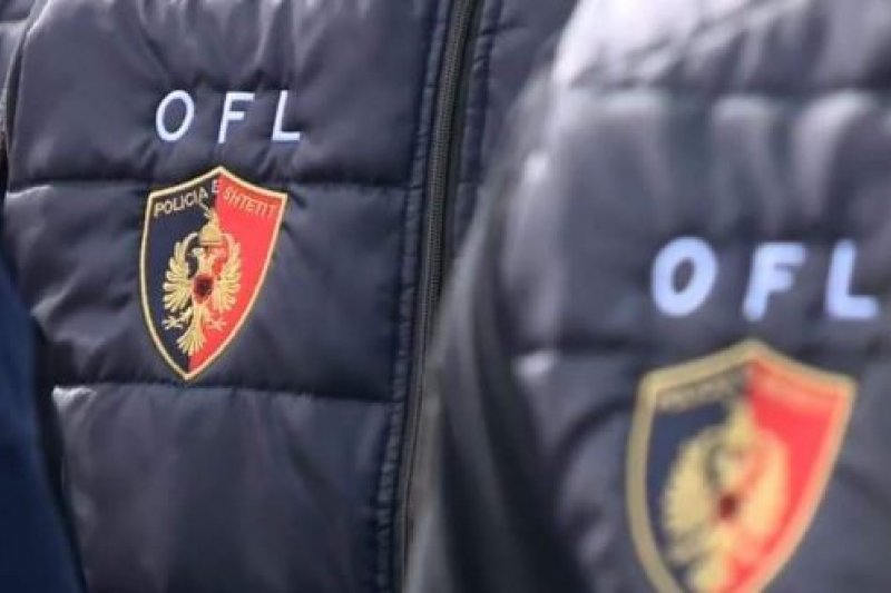 Albanie : le chef de l’unité spéciale contre le crime organisé piégé par la police allemande