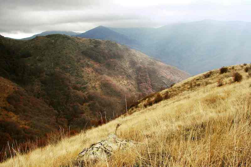Macédoine du Nord : ces mini-centrales qui détruisent la montagne du Shar