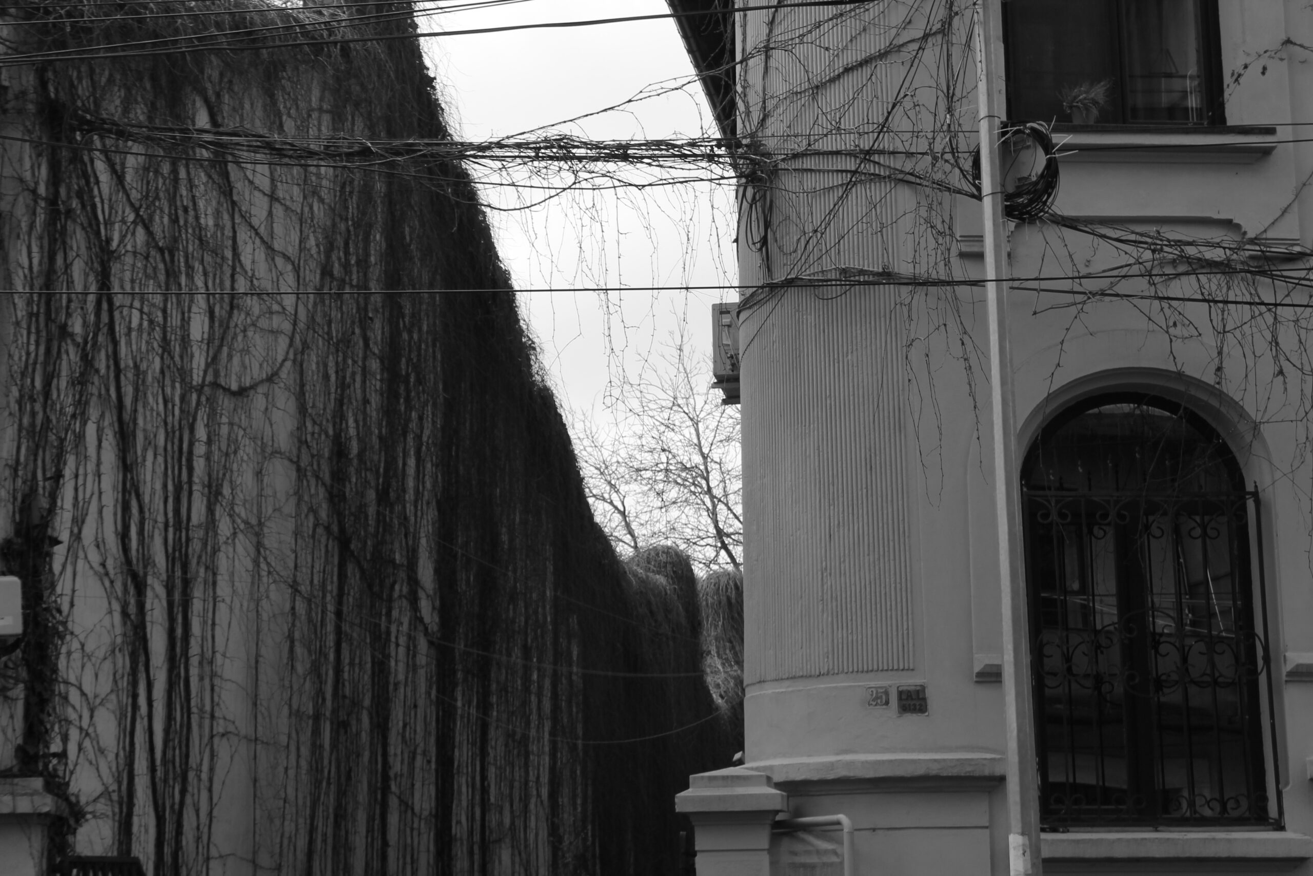_mg_1820.jpg