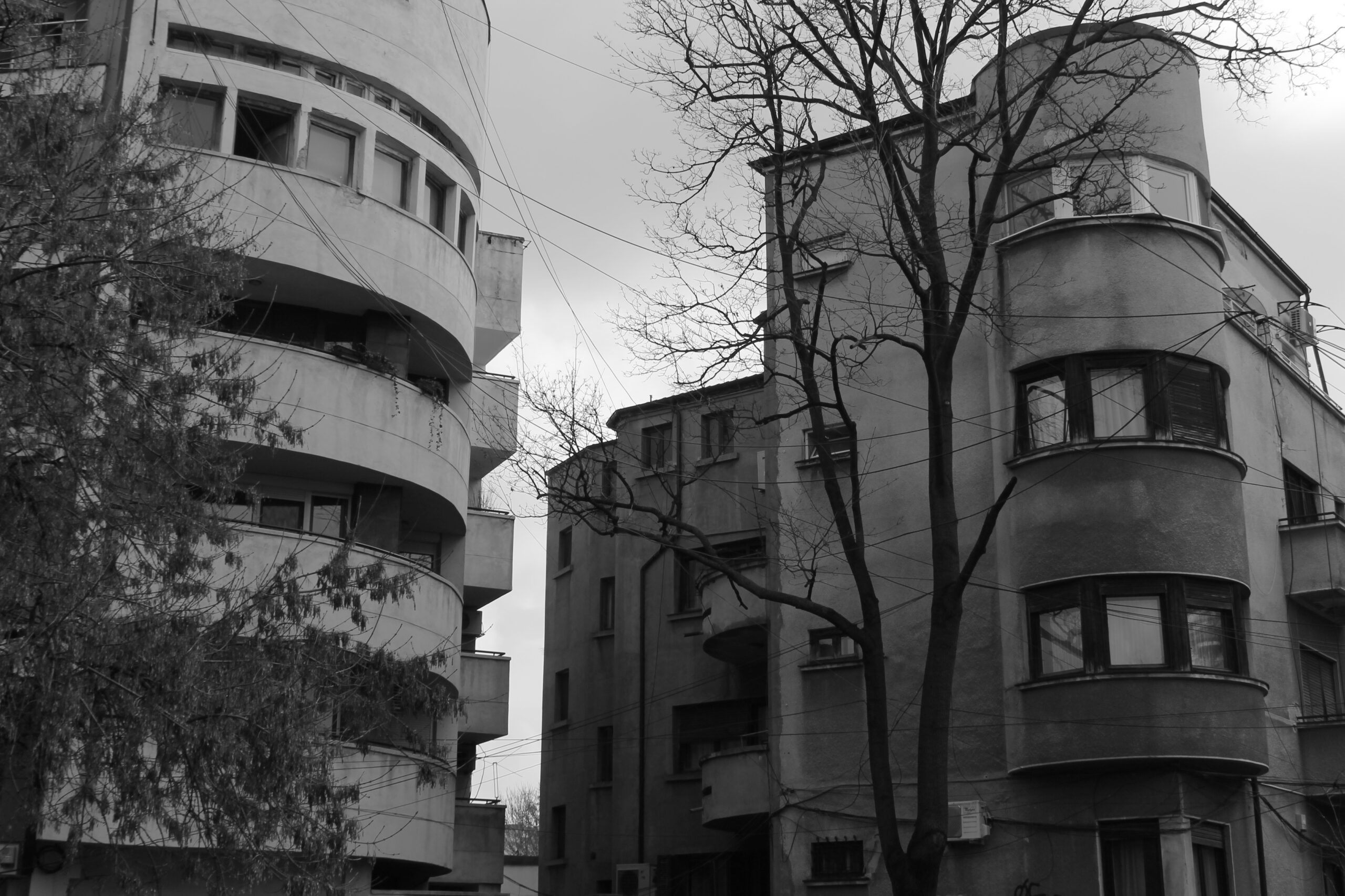 _mg_1823.jpg