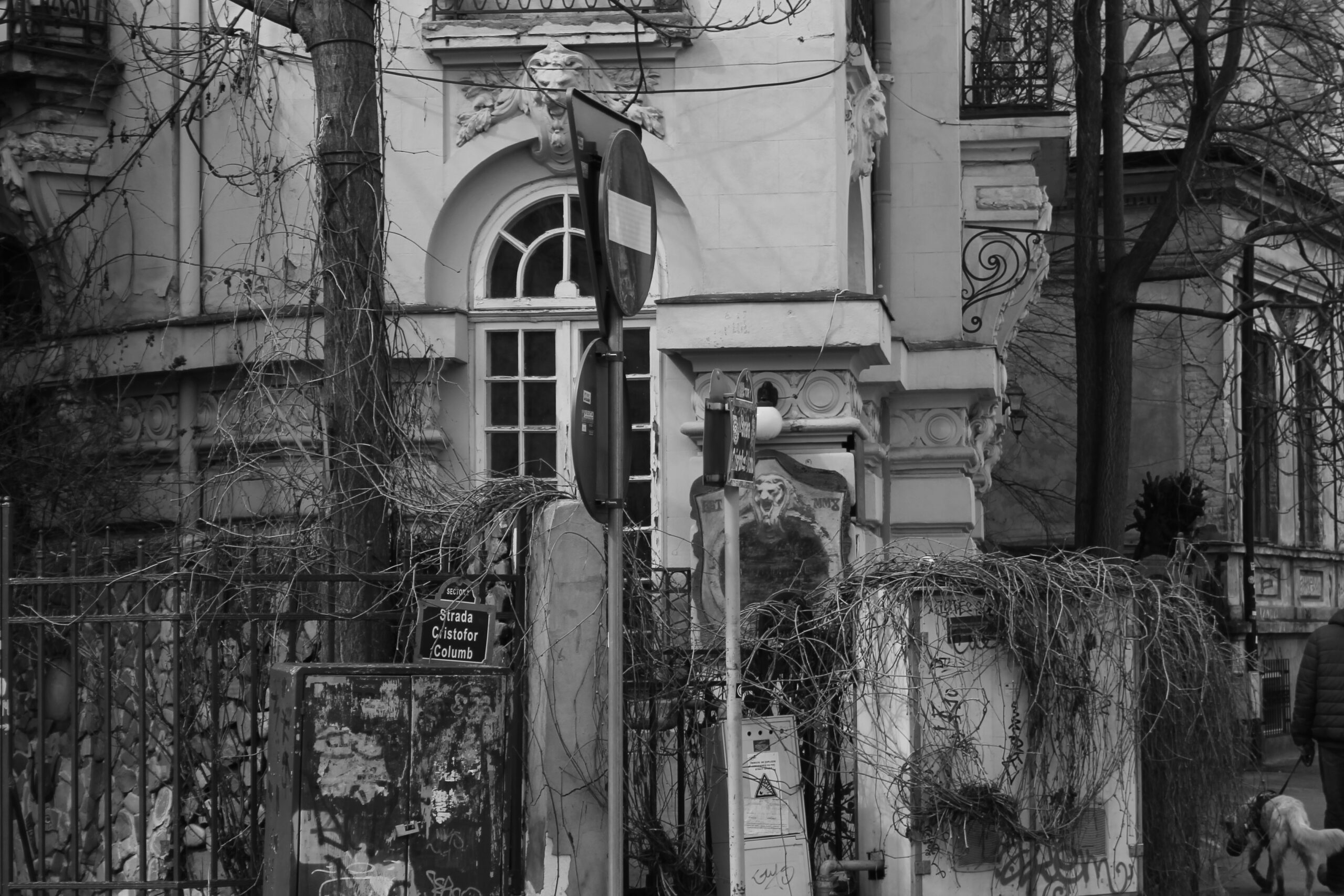 _mg_1861.jpg