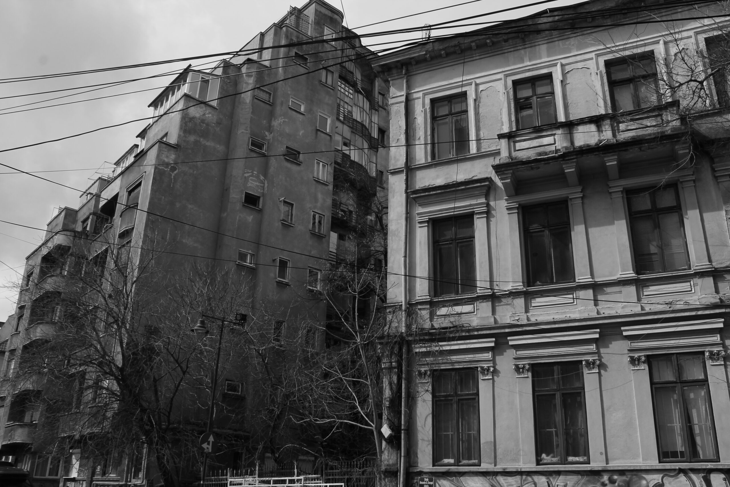 _mg_1868.jpg