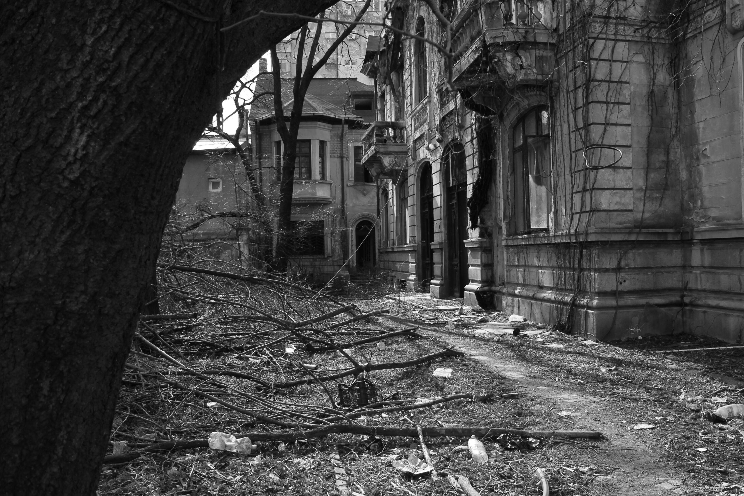 _mg_1946.jpg