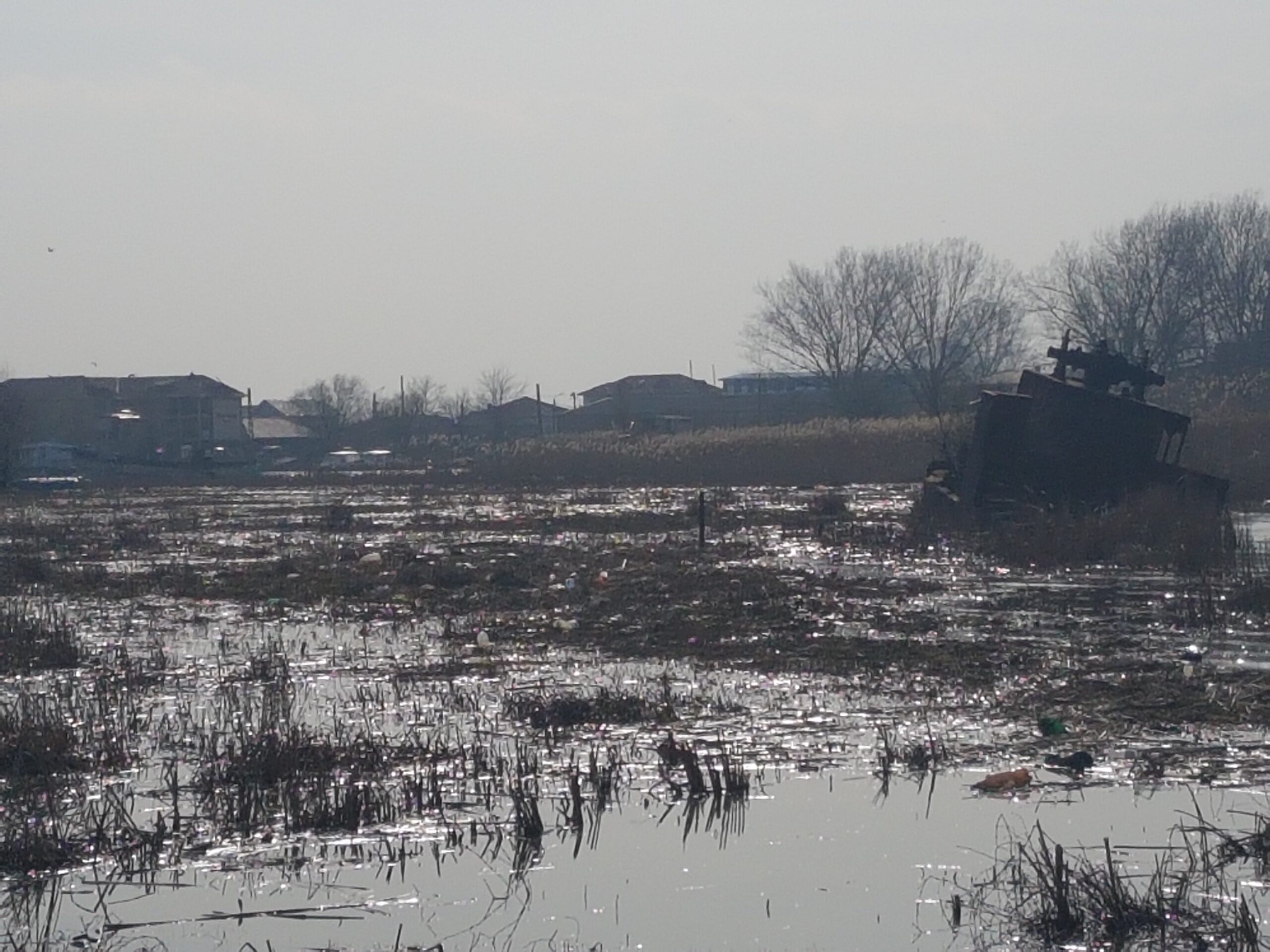 20210327_153533-r180.jpg