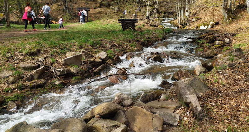 Slovénie : un référendum d&rsquo;initiative populaire pour protéger l&rsquo;accès de tous à l&rsquo;eau