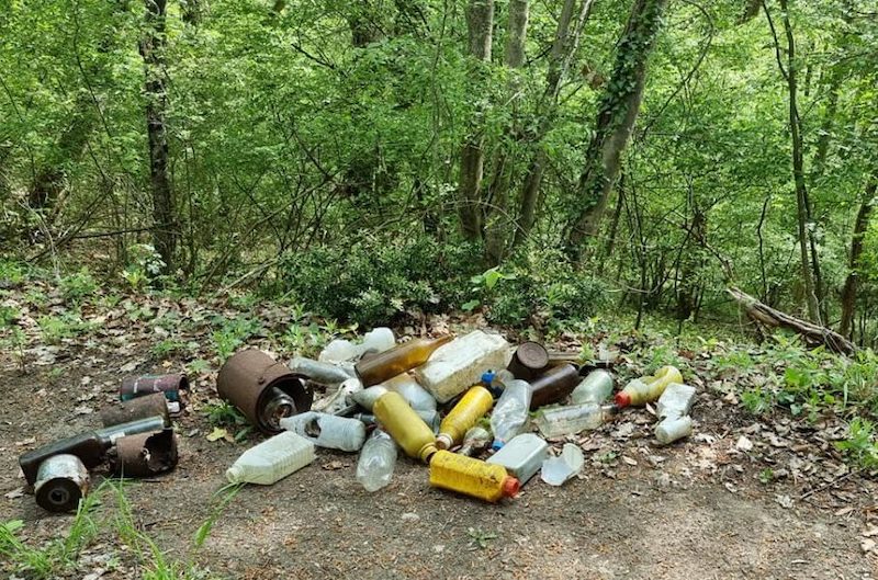 Serbie : la déforestation à outrance menace la Fruška Gora