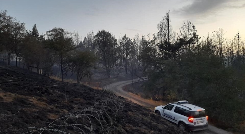Incendies dans les Balkans : des milliers d’hectares de forêts calcinés