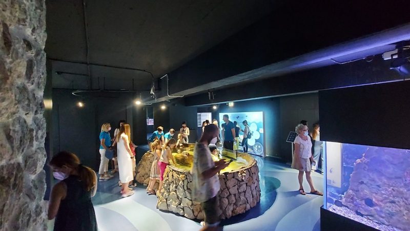 Monténégro : l’Aquarium marin de Kotor, un défi scientifique et pédagogique