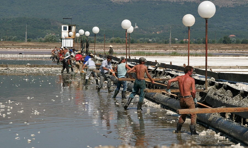 Oliviers des Balkans (4/4) | Monténégro : à Ulcinj, la saline et les oliviers de Valdanos enfin protégés