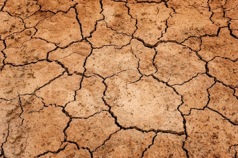Sécheresse au Monténégro : une saison en enfer pour l&rsquo;agriculture