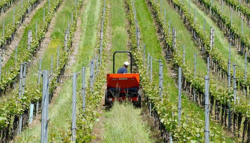 Agriculture en Serbie : vous me remettrez une bonne louche de pesticide