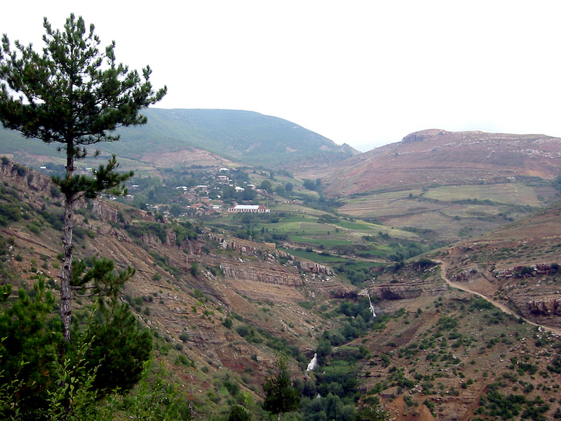 Albanie : à Korça, le déboisement illégal ravage les forêts
