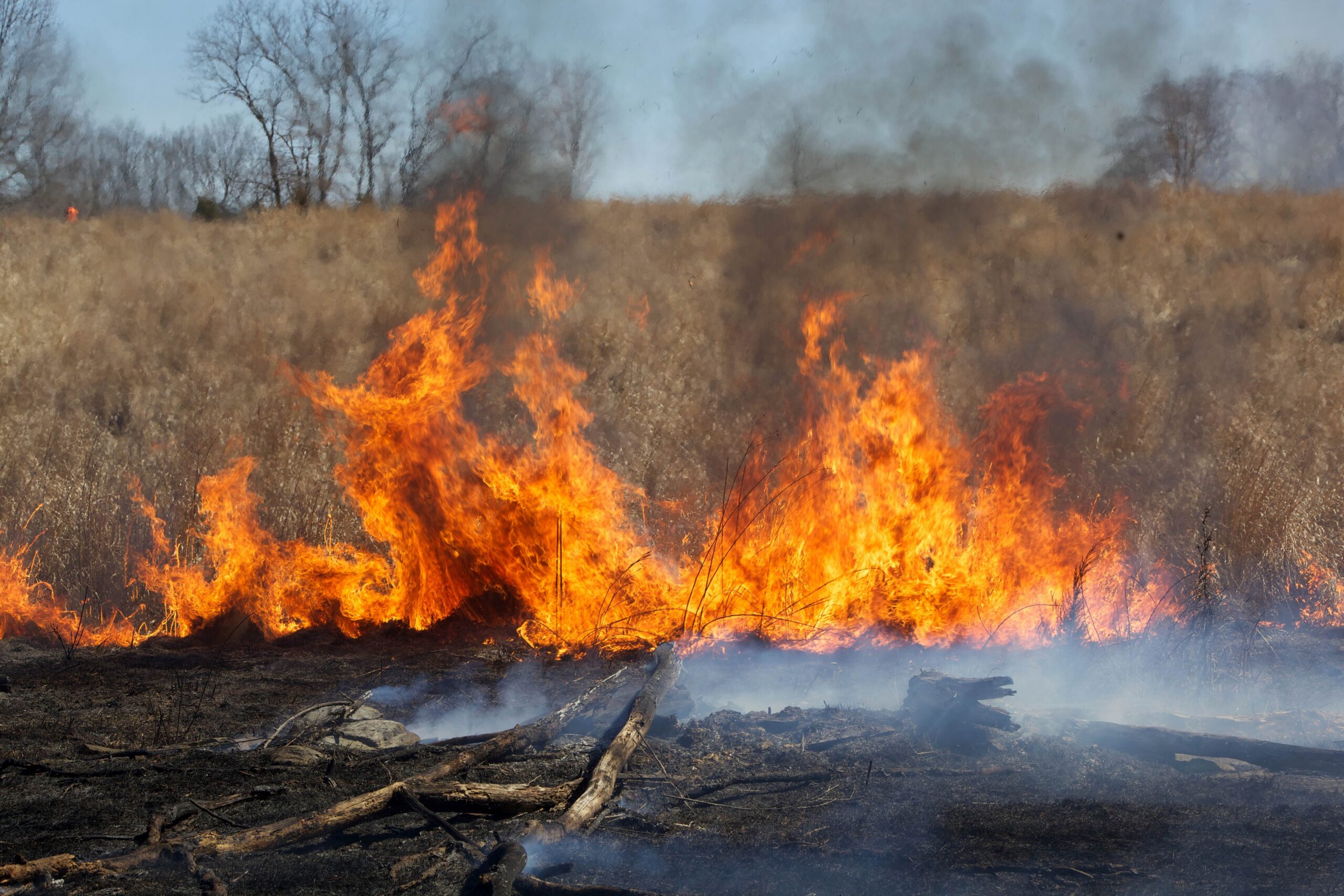 Bosnie-Herzégovine : la saison des incendies a déjà commencé