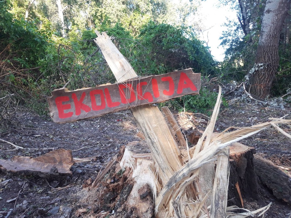 Serbie : mobilisation écologiste pour sauver la forêt de Šodroš, poumon vert de Novi Sad