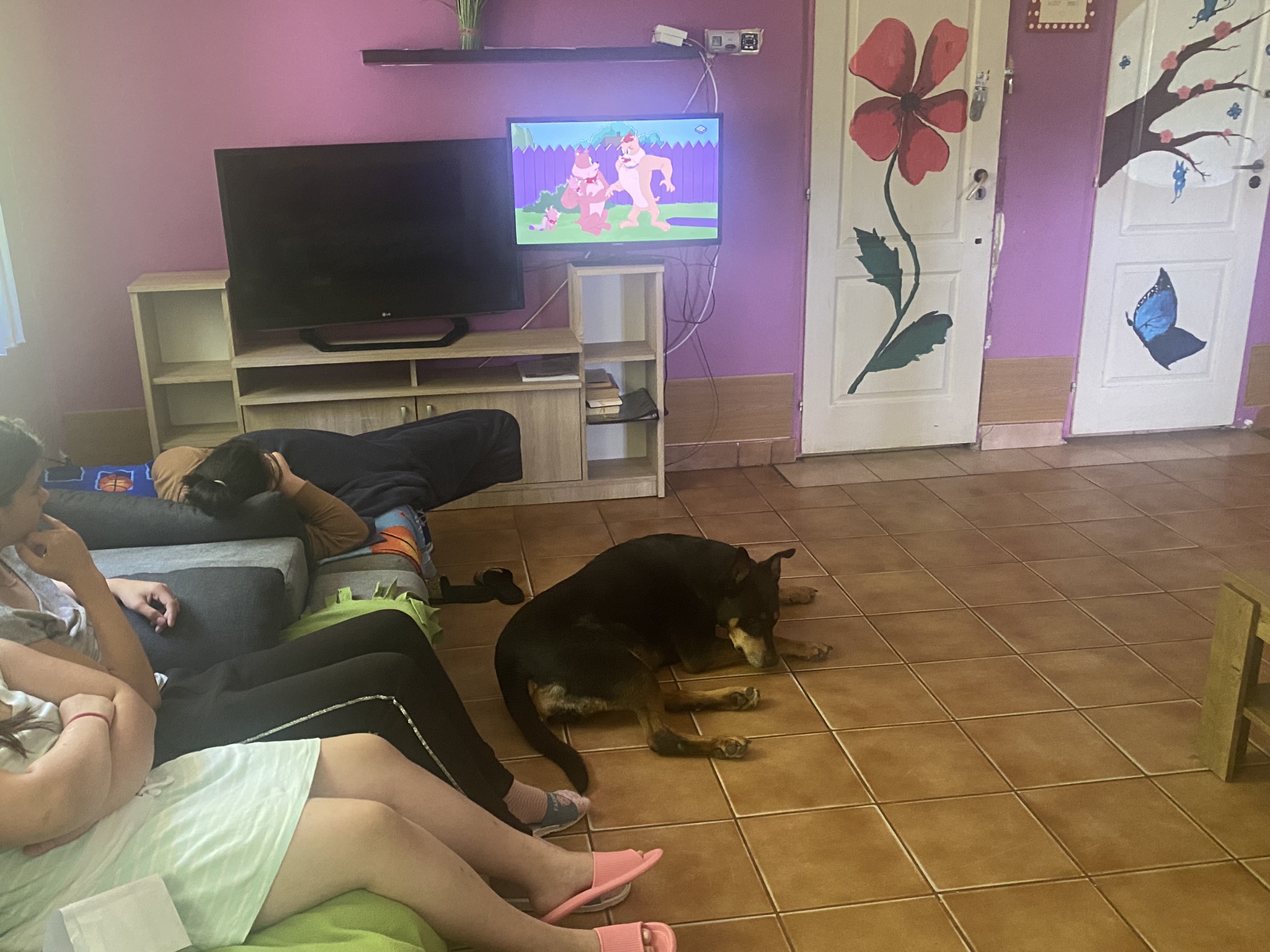 Au refuge de Reaching Out Romania.