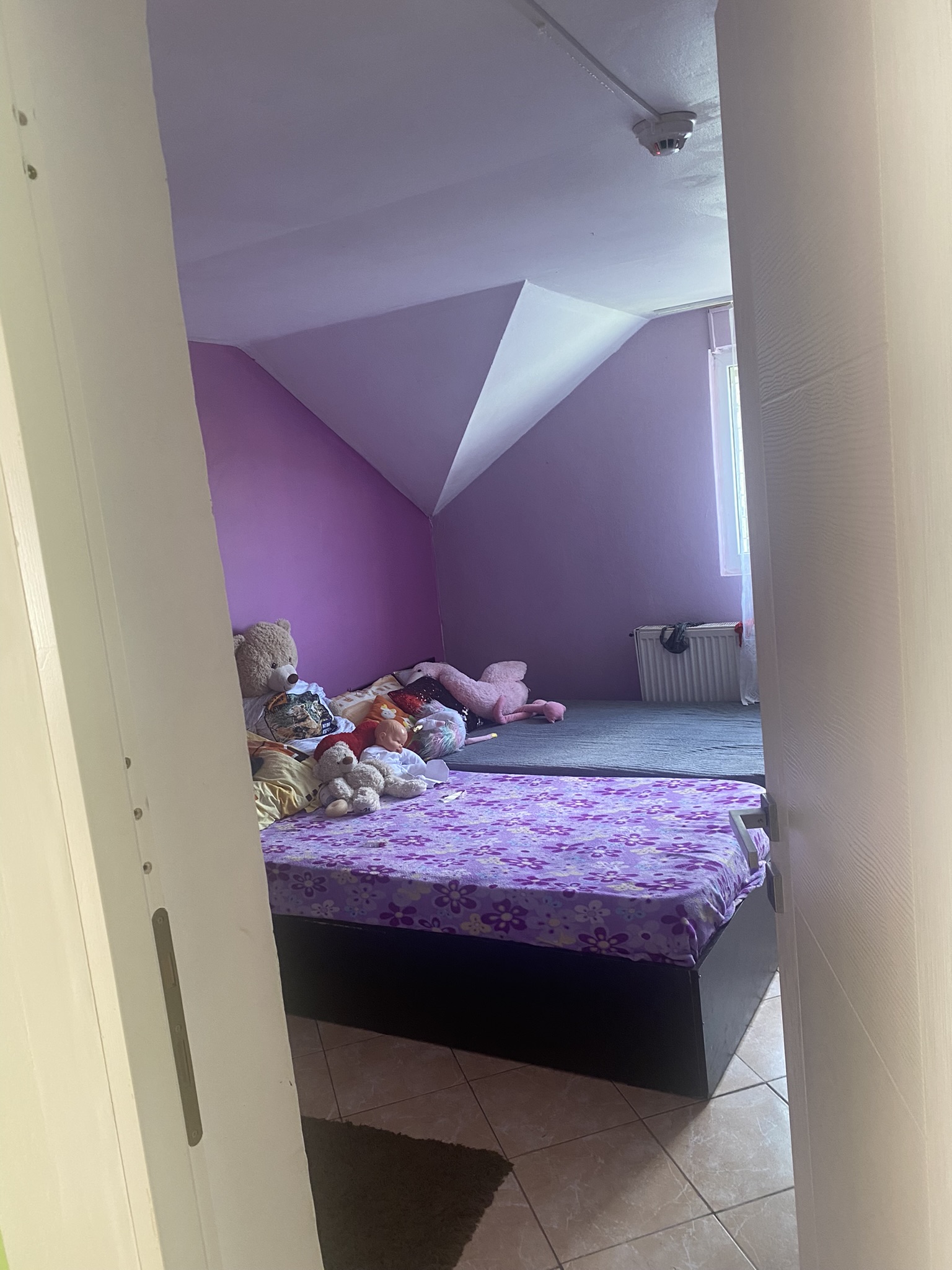 Au refuge de Reaching Out Romania.