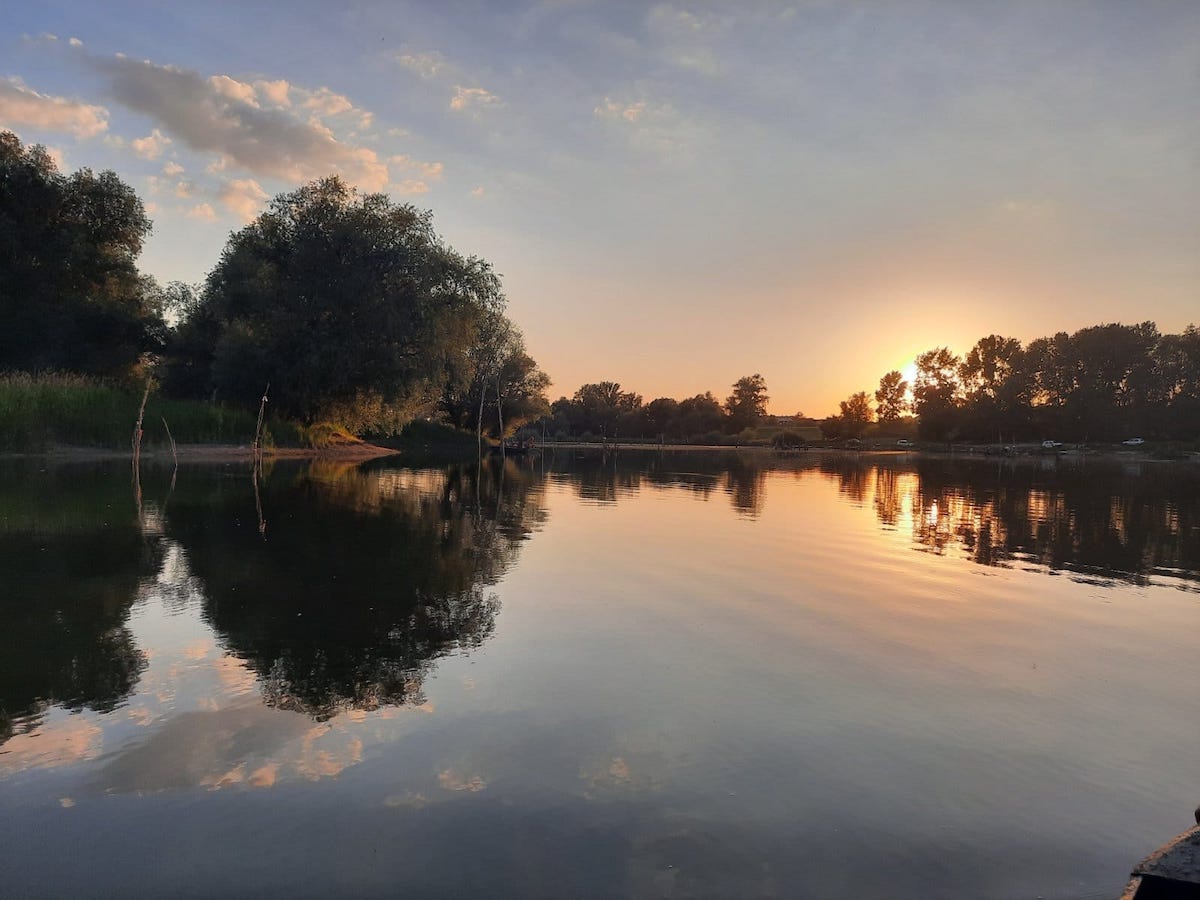 Serbie : à Novi Sad, mobilisation citoyenne pour sauver le Danube et sa biodiversité