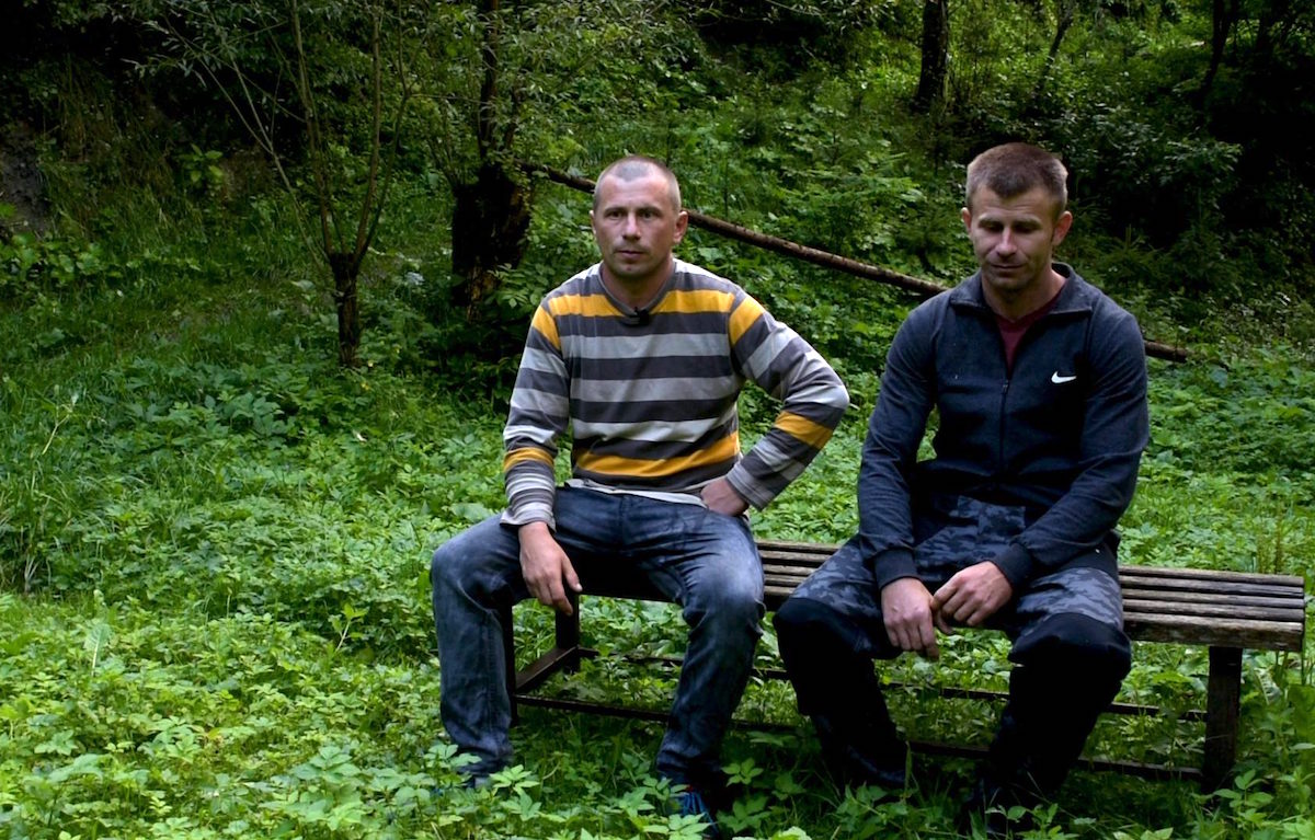 Déforestation en Roumanie : la justice cible un lanceur d’alerte
