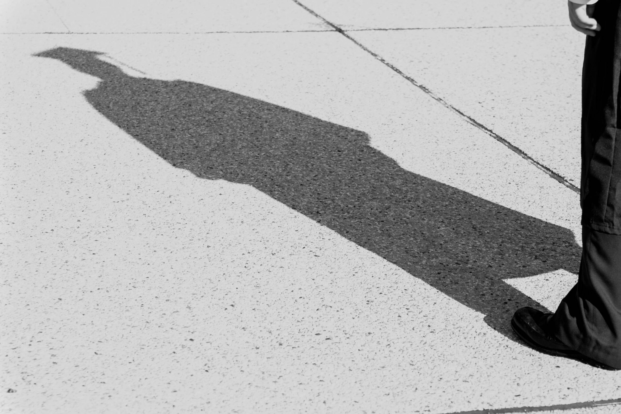 Bosnie-Herzégovine : faux diplômes et universités bidons
