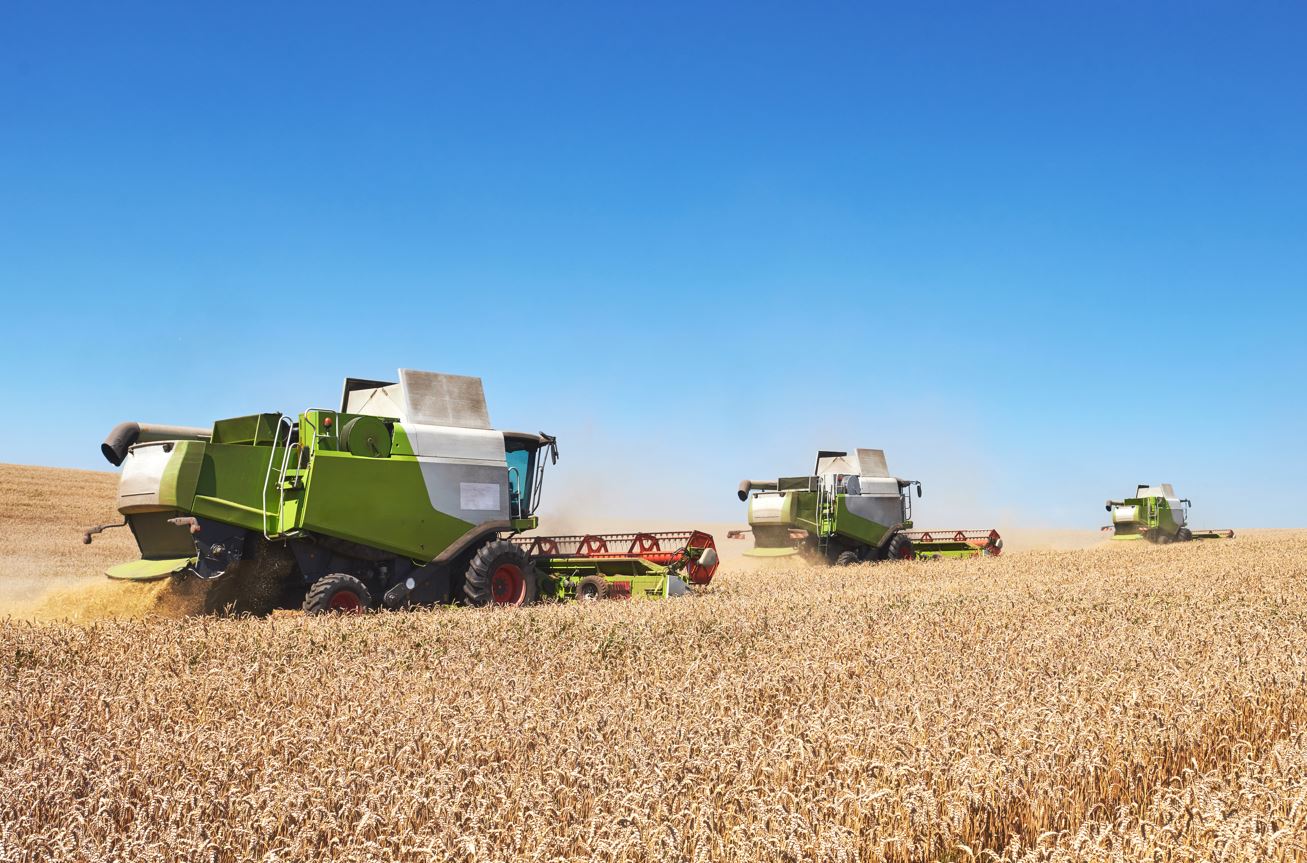 L&rsquo;exemption douanière pour l&rsquo;Ukraine écrase les agriculteurs d&rsquo;Europe centrale