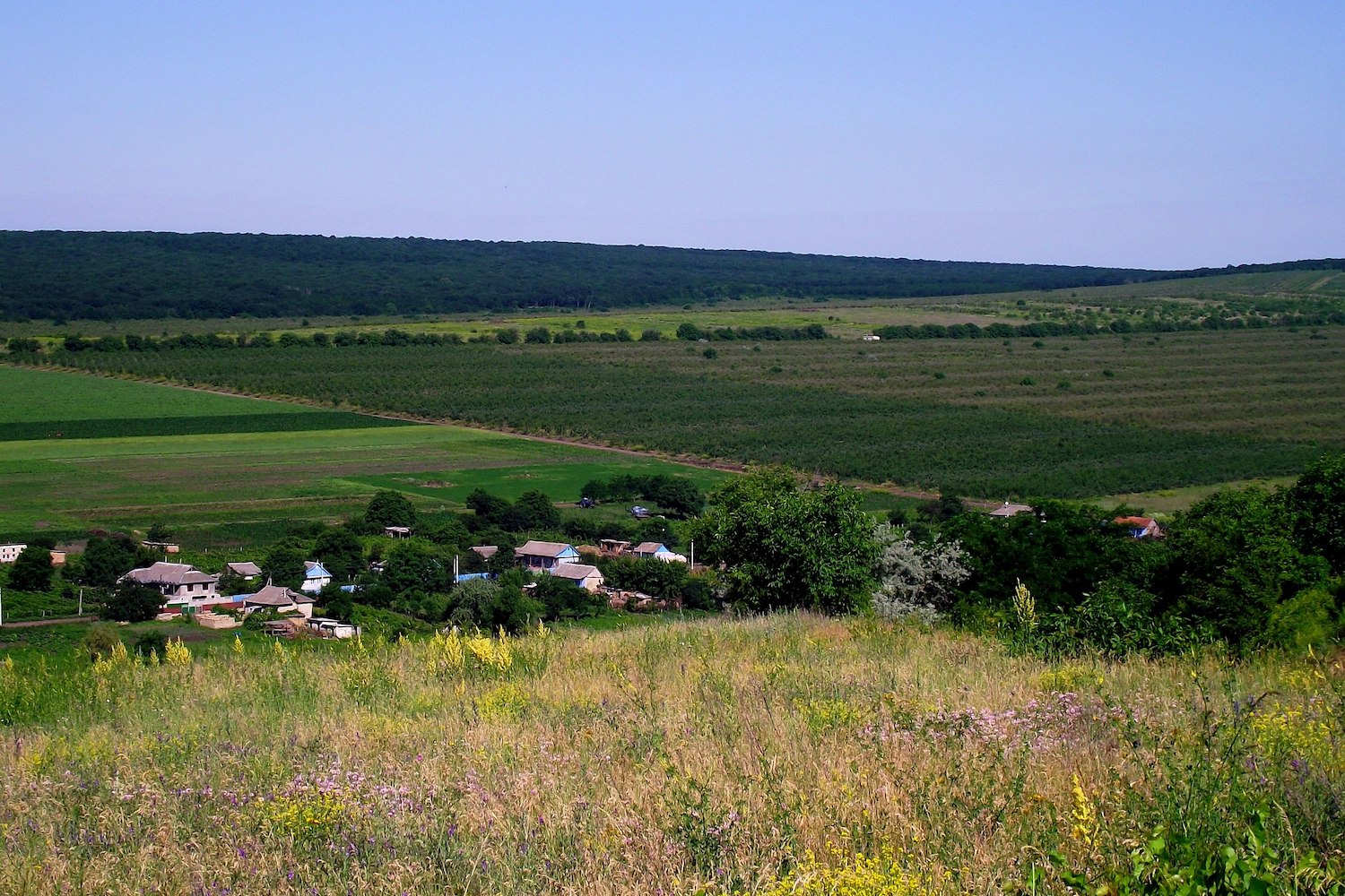 Moldavie : au défi de la désertification rurale et de la déprise agricole
