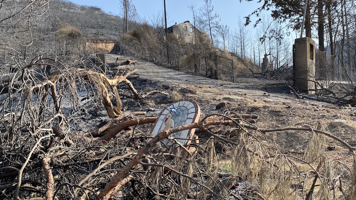 Incendies historiques dans le nord-est de la Grèce : le désespoir de l&rsquo;Evros