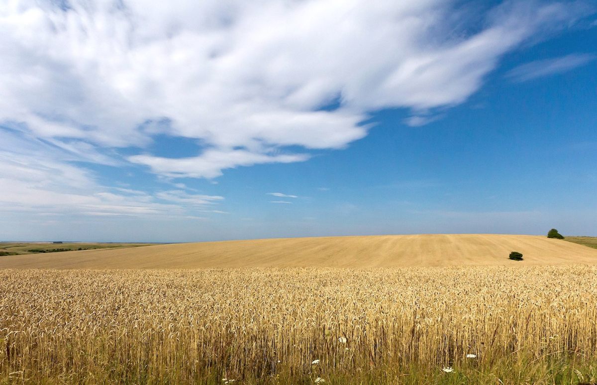 Bulgarie : les agriculteurs contre la réouverture des importations de céréales ukrainiennes