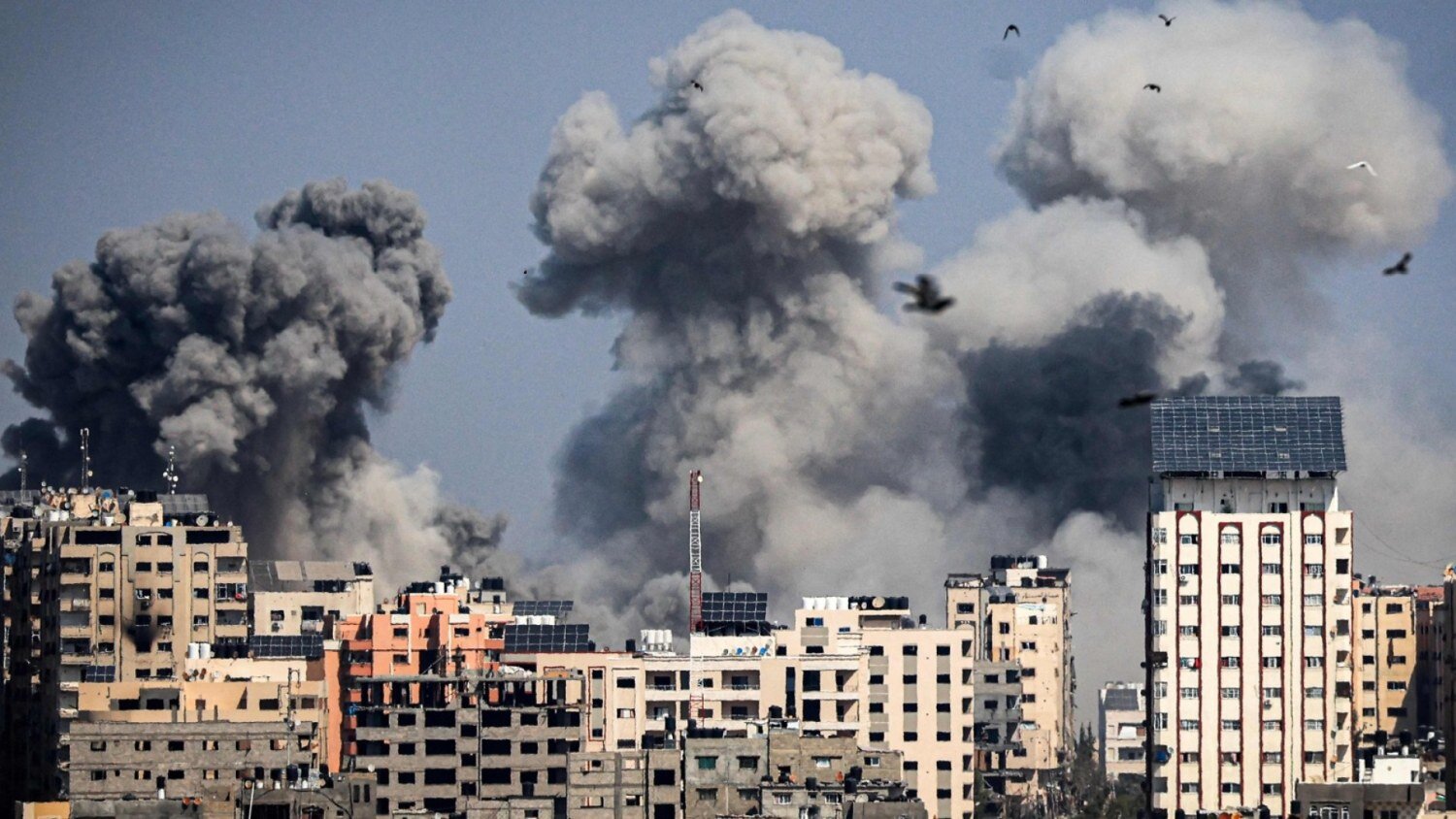 Les nombreux Roumains bloqués dans la Bande de Gaza appellent à l&rsquo;aide