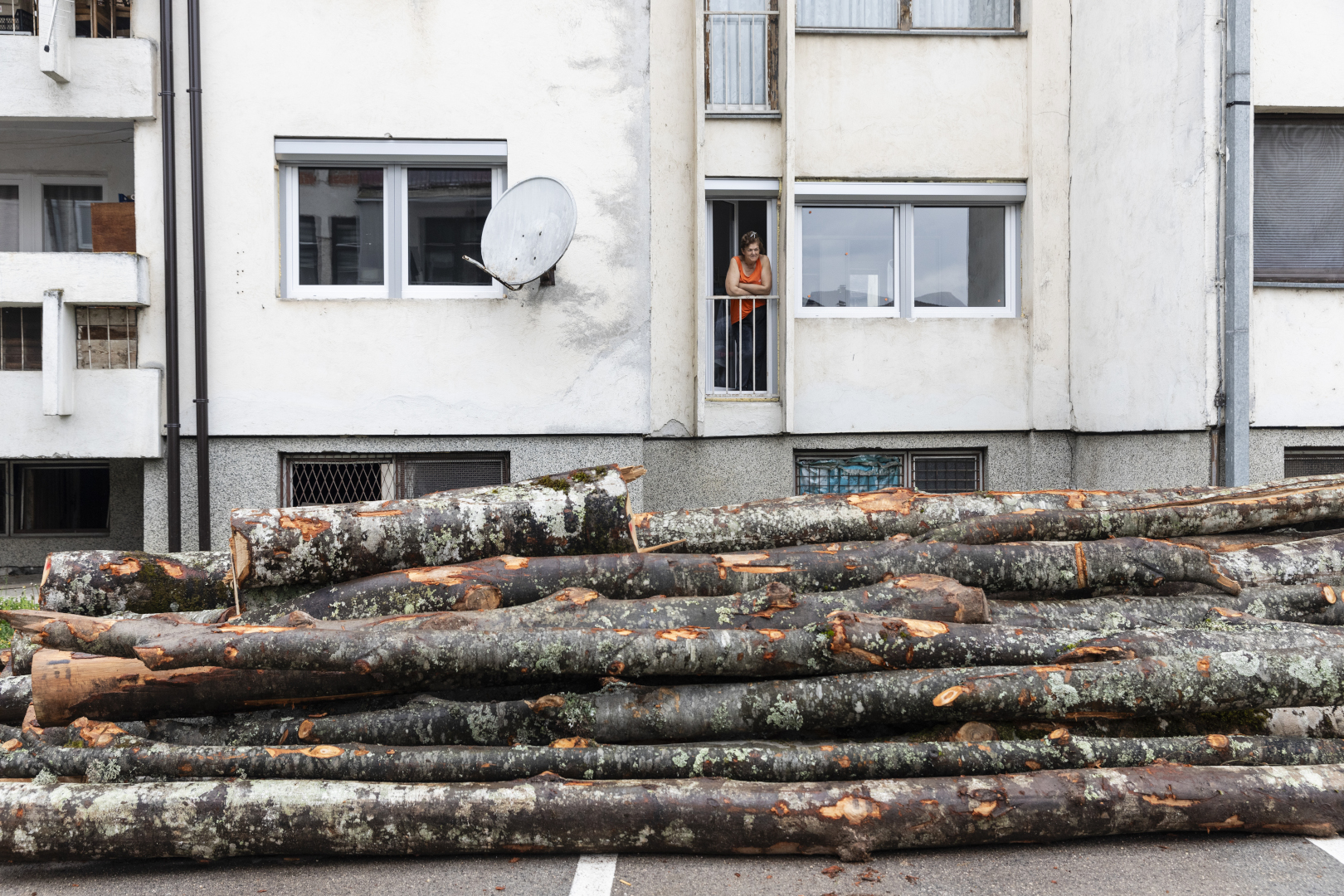 En Bosnie-Herzégovine, rien n&rsquo;arrête la déforestation illégale et le trafic de bois