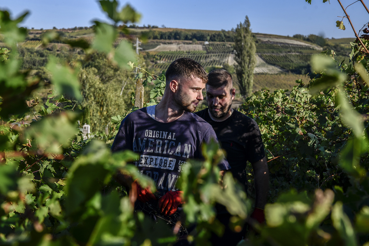 Kosovo : faute de main-d&rsquo;œuvre, l&rsquo;agriculture dépérit