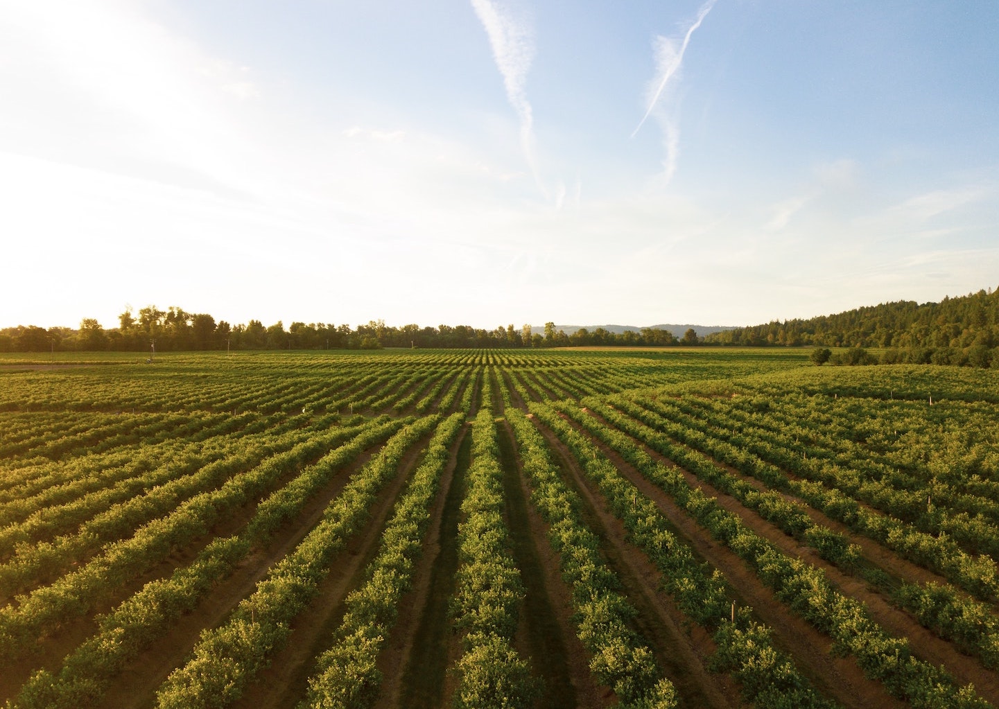Macédoine du nord : le secteur agricole est aussi en train de flancher