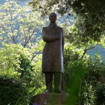 aleksa-350.png