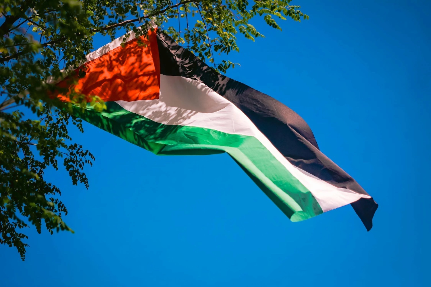 La Slovénie lance la procédure de reconnaissance de la Palestine