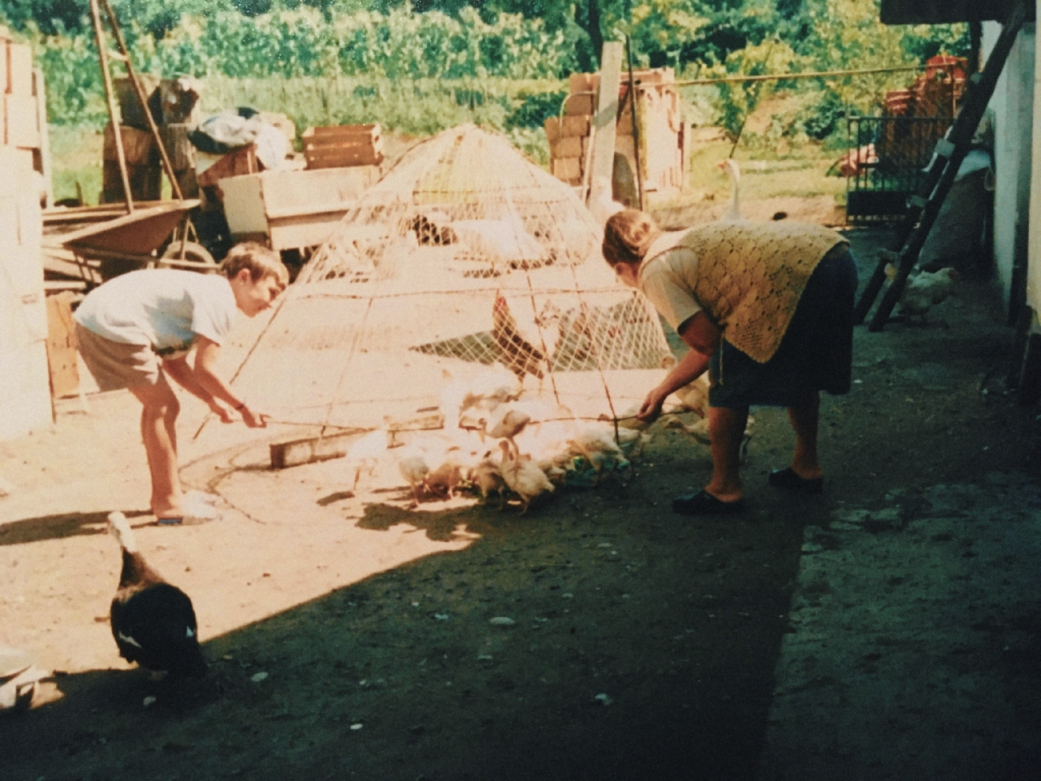 Baba et Nemanja au poulailler (Kupinovo, 1995).
