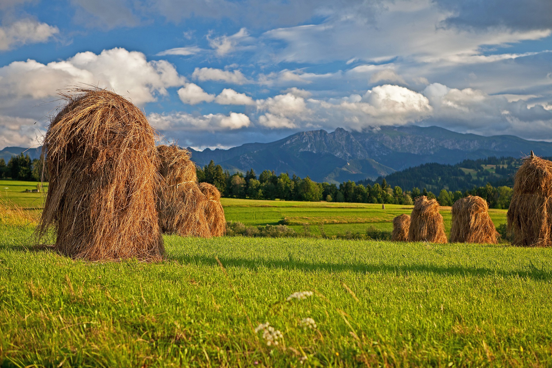 Monténégro : dans les montagnes, l&rsquo;agriculture se meurt