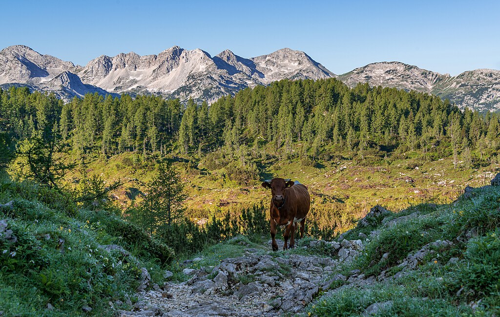 Slovénie : le parc national du Triglav célèbre son centenaire