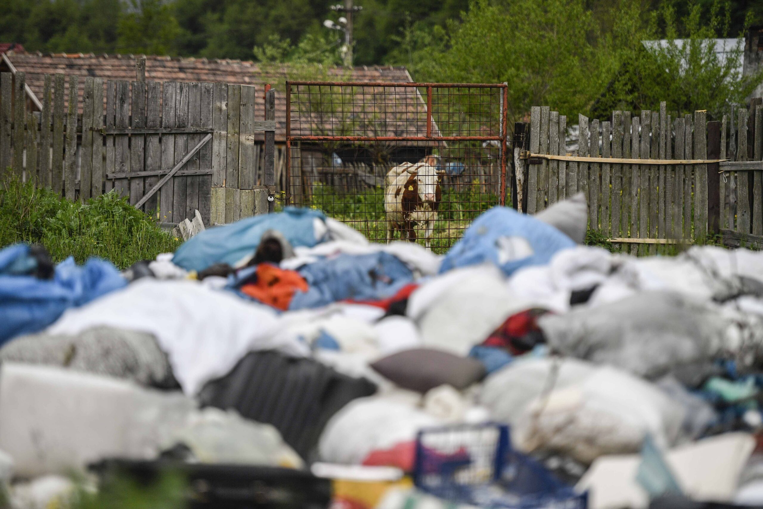 Comment vos dons de vêtements usagés polluent la Roumanie