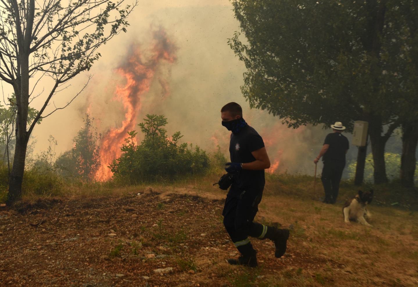 Incendies : le Monténégro brûle du nord au sud