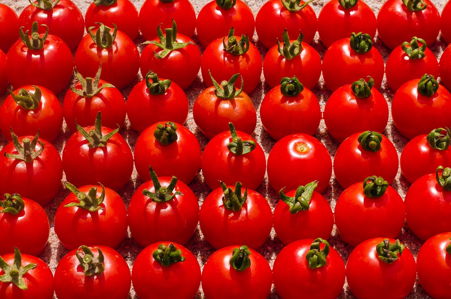 Pesticides et contrôles défaillants : alerte sécurité alimentaire en Albanie